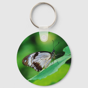 Dark Brown and Grey Butterfly Key Ring
