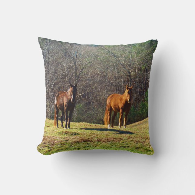 Dark Brown and light Brown horses Cushion (Front)
