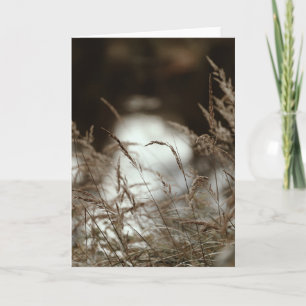 Dark brown and moody grass in wind, Sympathy Card