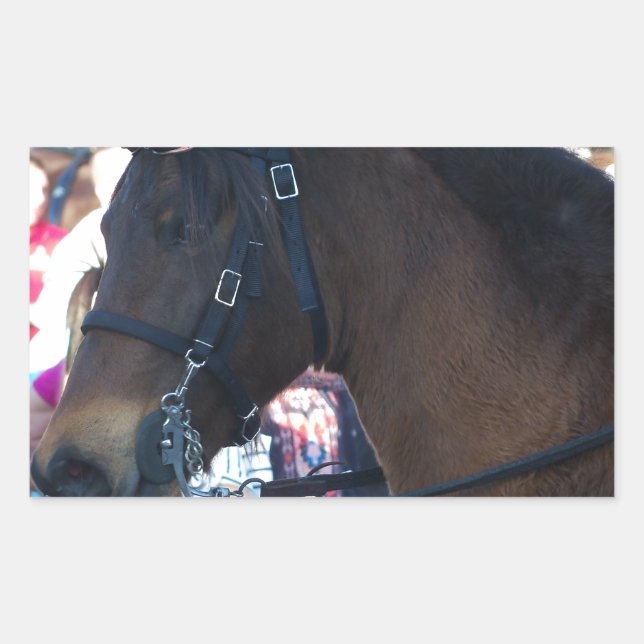 Dark Brown Arabian Horse wearing goggles Rectangular Sticker (Front)