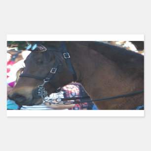 Dark Brown Arabian Horse wearing goggles Rectangular Sticker