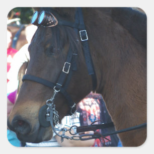 Dark Brown Arabian Horse wearing goggles Square Sticker