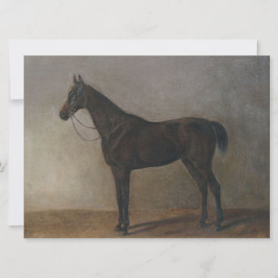 Dark Brown Gelding Horse (Vintage Animal Art) Card