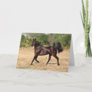 Dark Brown Spanish Mustang Mare Walking Card