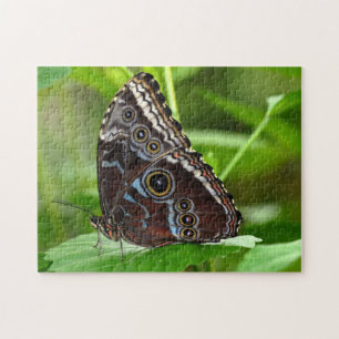 Dark Butterfly Sitting on Leaf Jigsaw Puzzle