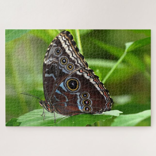 Dark Butterfly Sitting on Leaf Jigsaw Puzzle (Horizontal)