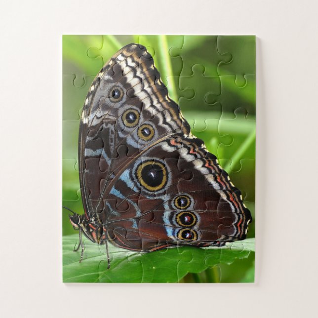 Dark Butterfly Sitting on Leaves in Nature Jigsaw Puzzle (Vertical)
