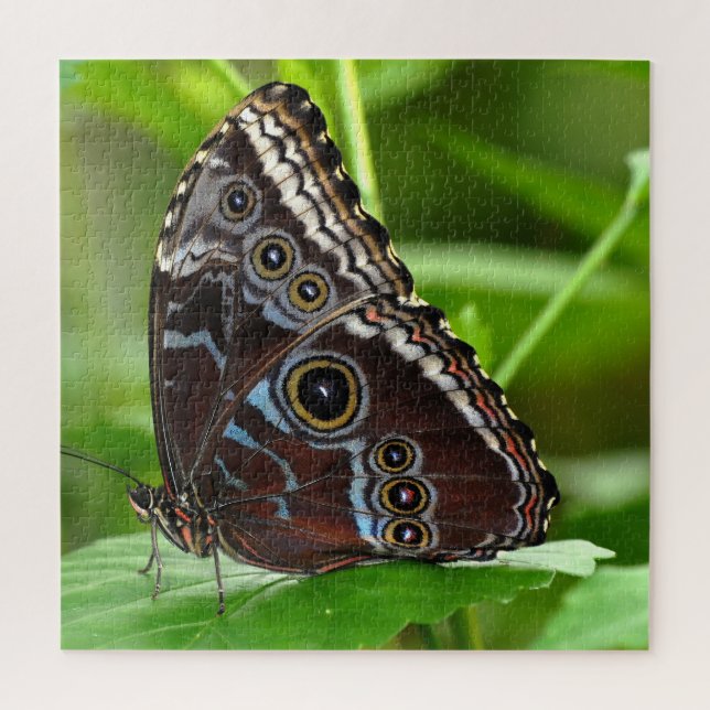 Dark Butterfly Sitting on Leaves in Nature Jigsaw Puzzle (Vertical)