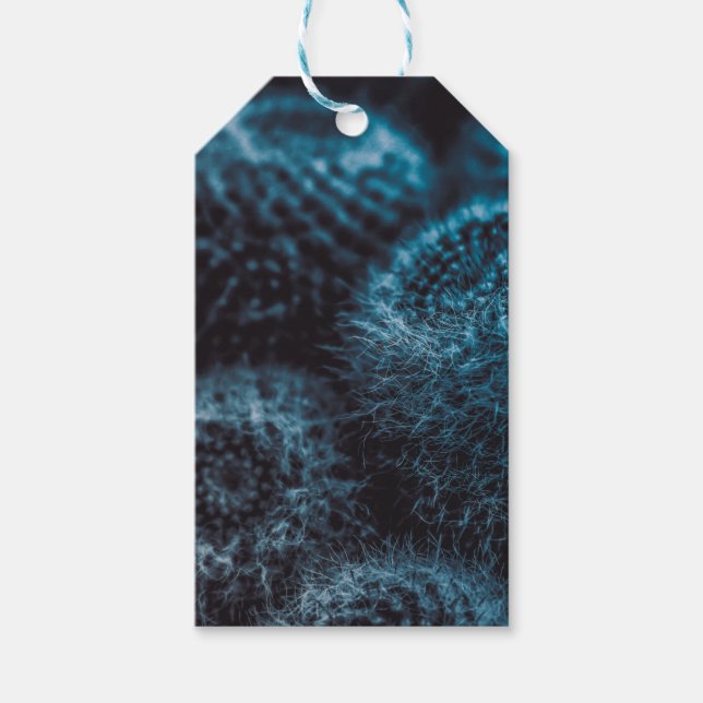 Dark Cactus Gift Tags (Front)