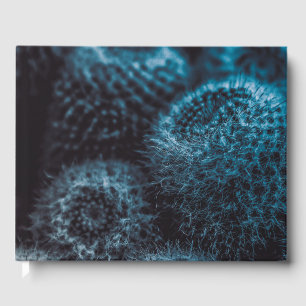 Dark Cactus Guest Book