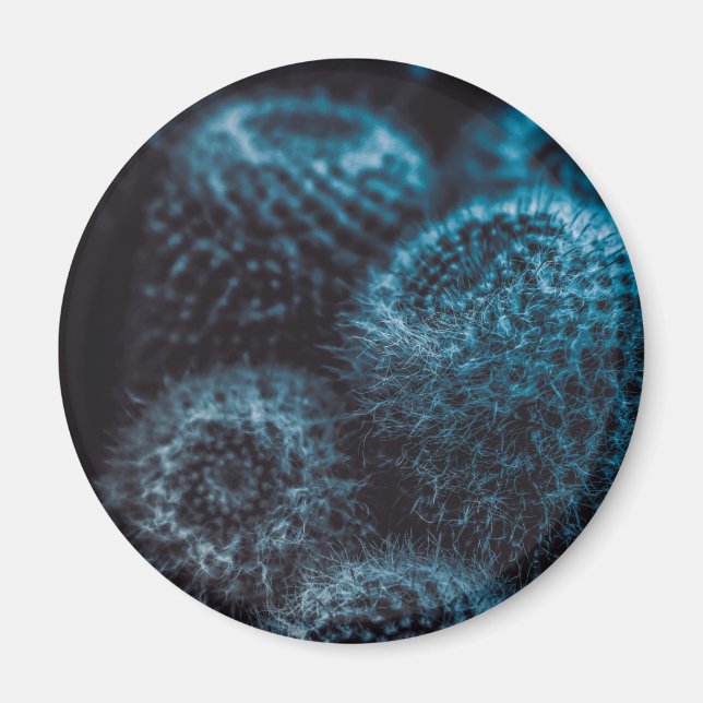 Dark Cactus Magnet (Front)