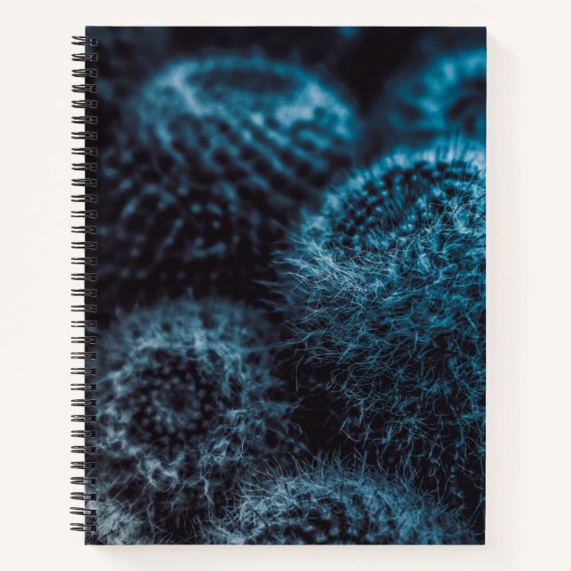 Dark Cactus Notebook (Front)