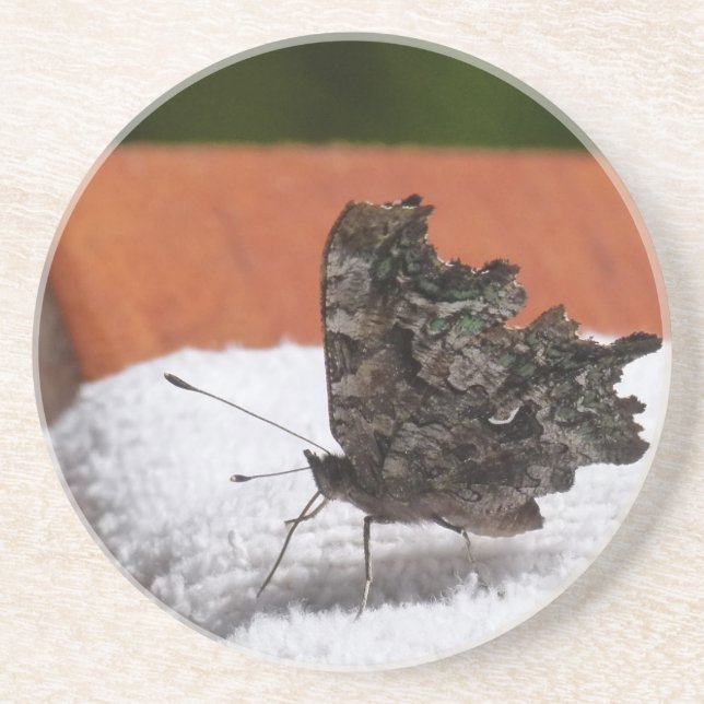 Dark Camouflage Butterfly Coaster (Front)