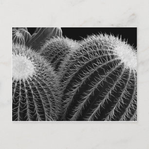 Dark Desert. Postcard