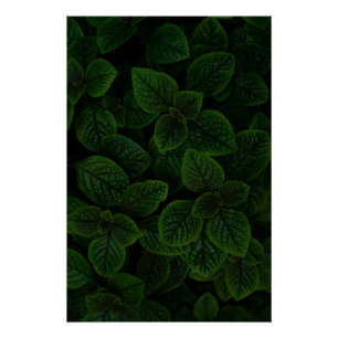 Dark Emerald Green Textured Leaves Pattern Poster