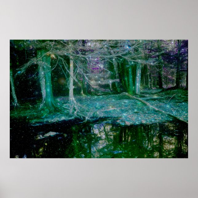 Dark Enchanted Fantasy Art Forest Pond Poster (Front)