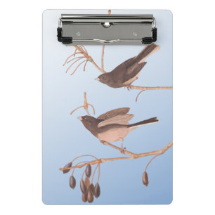 Dark-Eyed Junco Audubon Snow Birds on Bare Branch Mini Clipboard