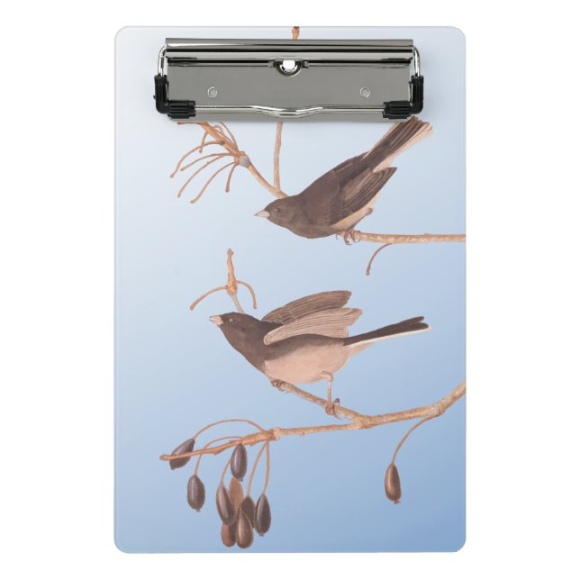 Dark-Eyed Junco Audubon Snow Birds on Bare Branch Mini Clipboard (Front)