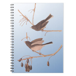 Dark-Eyed Junco Audubon Snow Birds on Bare Branch Notebook