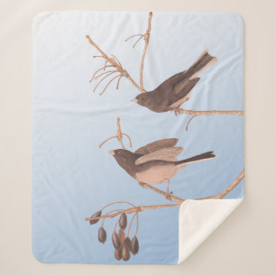 Dark-Eyed Junco Audubon Snow Birds on Bare Branch Sherpa Blanket