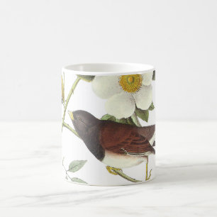 Dark-eyed Junco by Audubon Coffee Mug