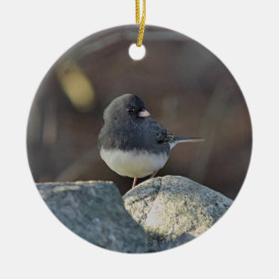 Dark-eyed junco ceramic tree decoration