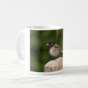 Dark-eyed Junco – Fine Art Bird Photography Coffee Mug