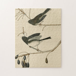 Dark-eyed Junco - from Audubon's Birds of America Jigsaw Puzzle