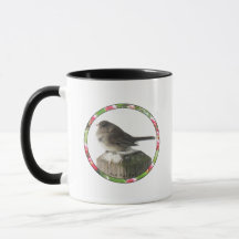 Dark-eyed Junco in Winter