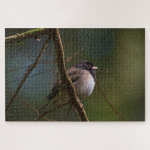 Dark Eyed Junco Jigsaw Puzzle
