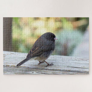 Dark-eyed Junco Jigsaw Puzzle