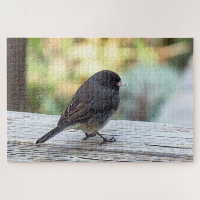 Dark-eyed Junco Jigsaw Puzzle (Horizontal)