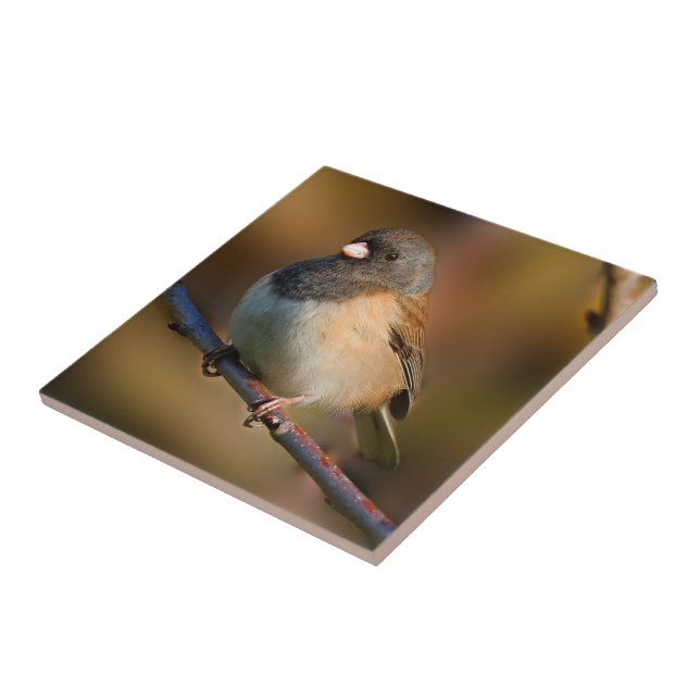 Dark-Eyed Junco on a Limb Ceramic Tile (Side)