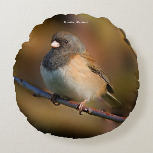 Dark-Eyed Junco on a Limb Round Cushion