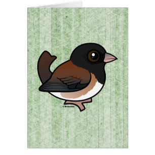 Dark-eyed Junco (Oregon)