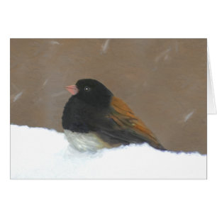 Dark-Eyed Junco Painting - Original Bird Art