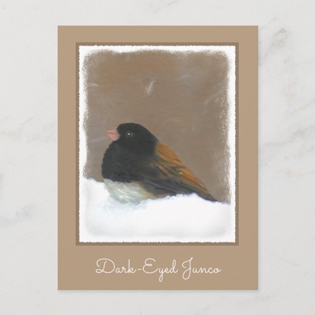 Dark-Eyed Junco Painting - Original Bird Art Postcard (Front)