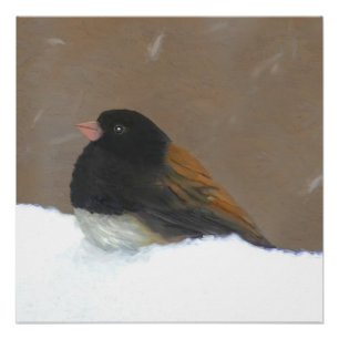 Dark-Eyed Junco Painting - Original Bird Art Poster