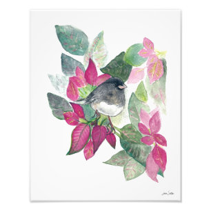 Dark Eyed Junco Watercolor Photo Print