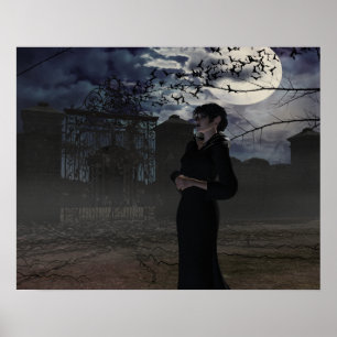 Dark Fairy in Moonlight Poster