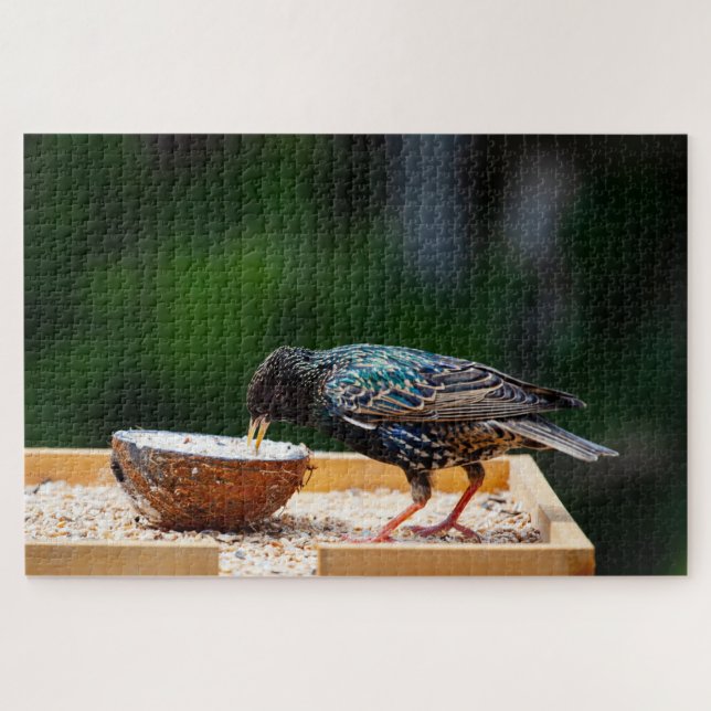 Dark Feathered Bird Eating Coconut Jigsaw Puzzle (Horizontal)