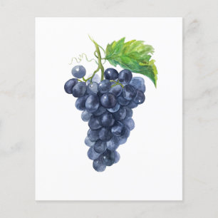 Dark Grapes Watercolor for Wine Tasting Events Flyer