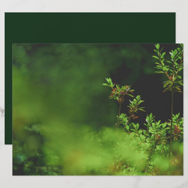 Dark green forest Scrapbook Paper (Front/Back)