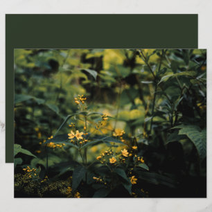 Dark green meadow, nature photo Scrapbook Paper