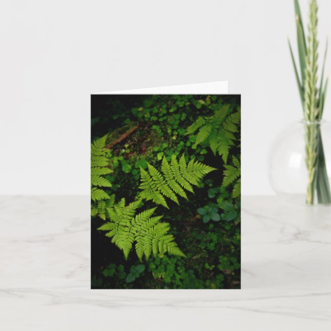 Dark green moody nature theme with ferns card (Front)
