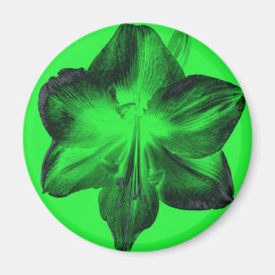 Dark Green on Light Green Amaryllis Magnet
