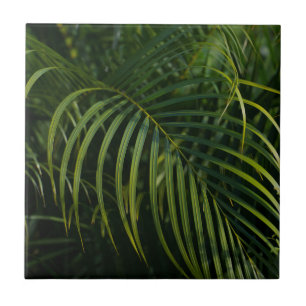 Dark green Palm Leaves Ceramic Tile