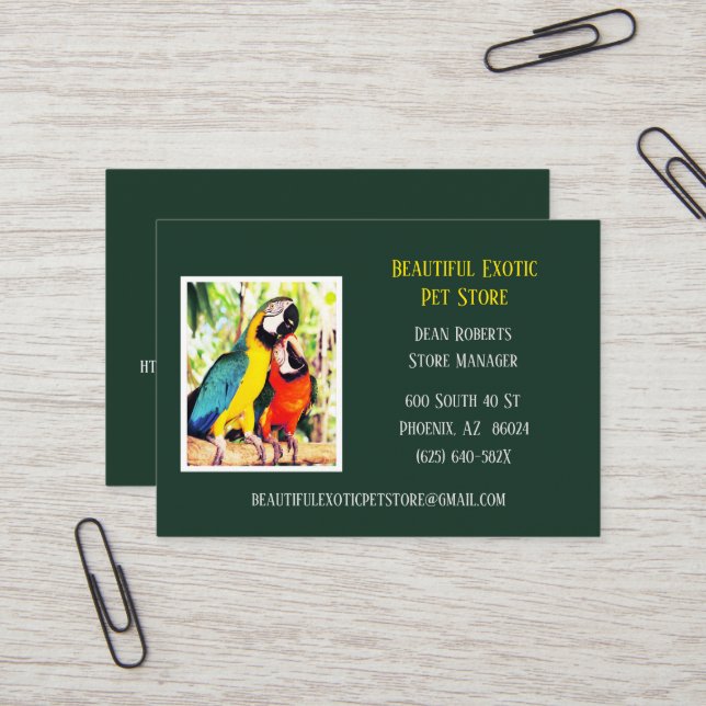 Dark Green Veterinary/ Animal Pet Store Parrots  Business Card (Front/Back In Situ)