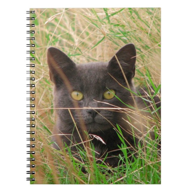 Dark Grey Cat Peeking out from Tall Grass Notebook (Front)
