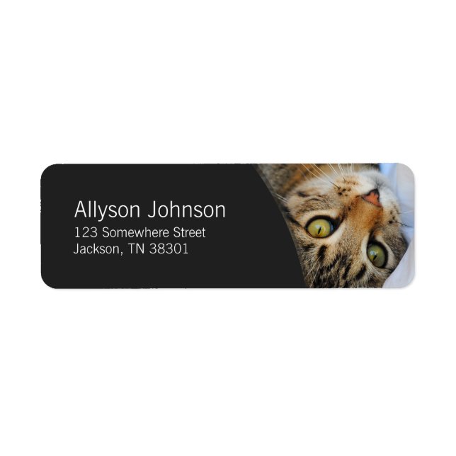 Dark Grey & Tabby Cat Address Labels (Front)
